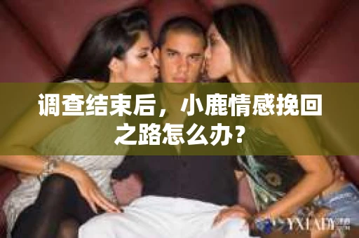 调查结束后，小鹿情感挽回之路怎么办？