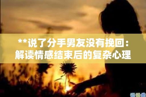 **说了分手男友没有挽回:解读情感结束后的复杂心理与现实** **说了分手男友没有挽回:解读情感结束后的复杂心理与现实**