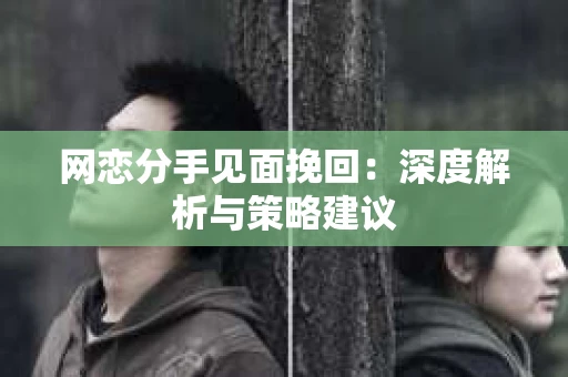 网恋分手见面挽回:深度解析与策略建议 网恋分手见面挽回:深度解析与策略建议