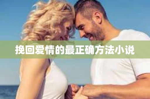 挽回爱情的最正确方法小说