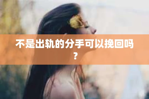 不是出轨的分手可以挽回吗? 不是出轨的分手可以挽回吗?