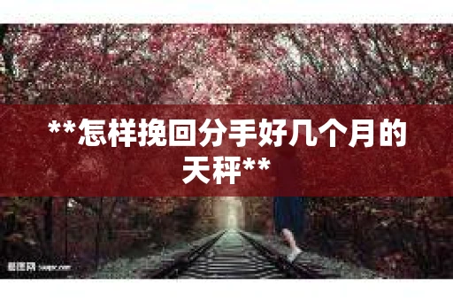 **怎样挽回分手好几个月的天秤**