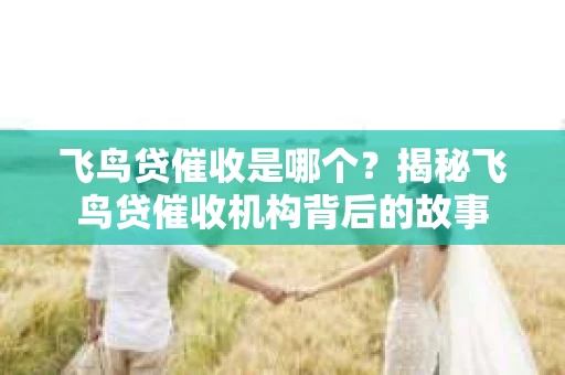 飞鸟贷催收是哪个？揭秘飞鸟贷催收机构背后的故事