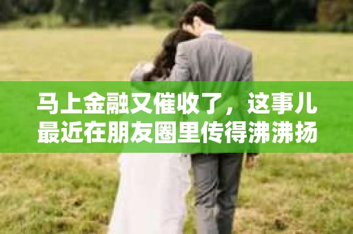 马上金融又催收了，这事儿最近在朋友圈里传得沸沸扬扬。说实话，我也有点好奇，这马上金融到底是怎么回事？催收又是怎么一回事？今天，我就来跟大家聊聊这个话题。