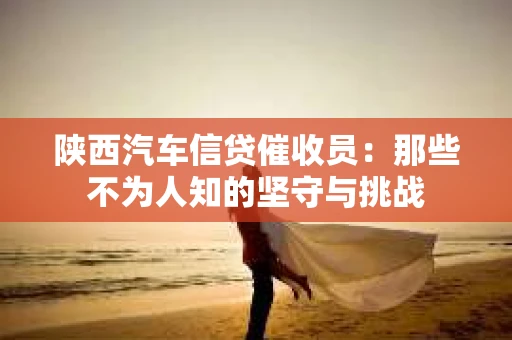 陕西汽车信贷催收员：那些不为人知的坚守与挑战