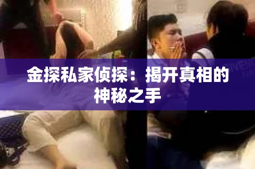 金探私家侦探：揭开真相的神秘之手