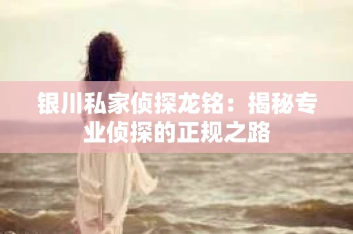 银川私家侦探龙铭：揭秘专业侦探的正规之路