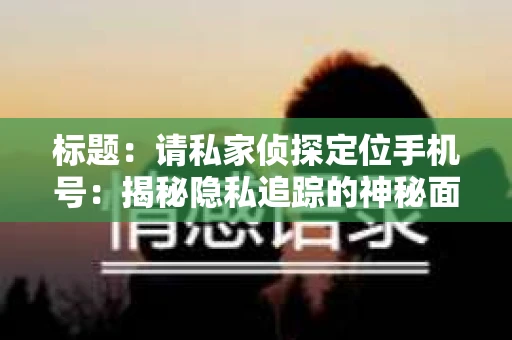 标题：请私家侦探定位手机号：揭秘隐私追踪的神秘面纱