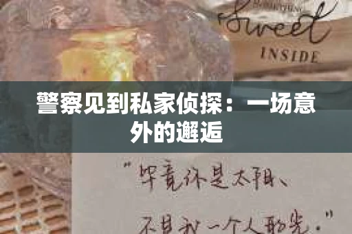 警察见到私家侦探：一场意外的邂逅