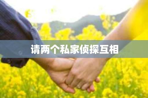 请两个私家侦探互相