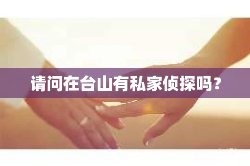 请问在台山有私家侦探吗？