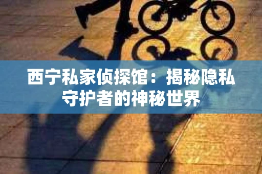 西宁私家侦探馆：揭秘隐私守护者的神秘世界