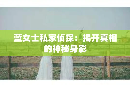 蓝女士私家侦探：揭开真相的神秘身影