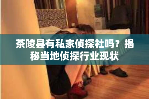 茶陵县有私家侦探社吗？揭秘当地侦探行业现状