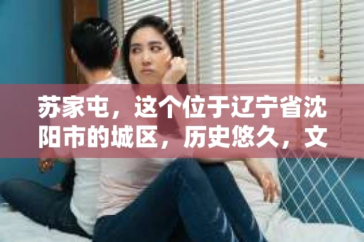 苏家屯，这个位于辽宁省沈阳市的城区，历史悠久，文化底蕴深厚。近年来，随着社会的发展，人们对于私家侦探的需求也逐渐增加。那么，苏家屯有私家侦探吗？今天，我们就来聊聊这个话题。