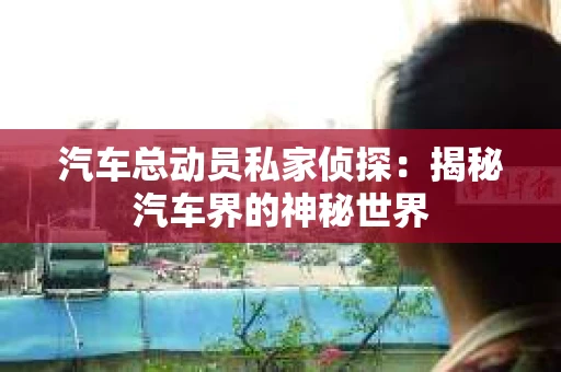 汽车总动员私家侦探：揭秘汽车界的神秘世界