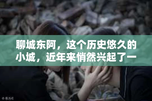聊城东阿，这个历史悠久的小城，近年来悄然兴起了一股新的服务潮流——私家侦探。今天，我们就来聊聊这个话题，看看在聊城东阿，私家侦探是如何成为人们生活中的一部分的。