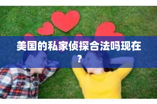 美国的私家侦探合法吗现在？
