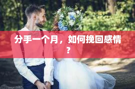 分手一个月,如何挽回感情? 分手一个月,如何挽回感情?