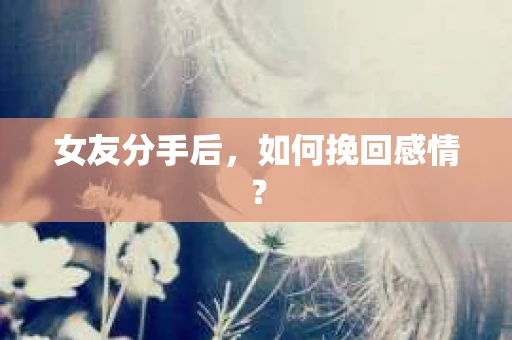 女友分手后,如何挽回感情? 女友分手后,如何挽回感情?