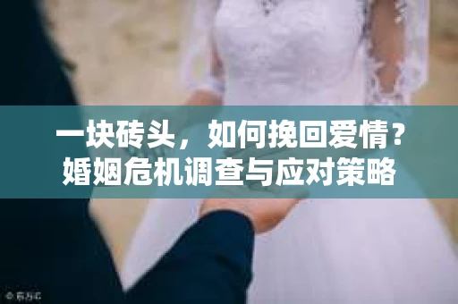 一块砖头，如何挽回爱情？婚姻危机调查与应对策略