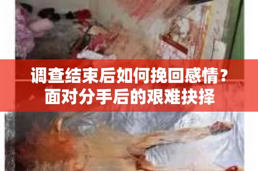 调查结束后如何挽回感情?面对分手后的艰难抉择 调查结束后如何挽回感情?面对分手后的艰难抉择