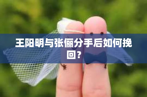 王阳明与张俪分手后如何挽回? 王阳明与张俪分手后如何挽回?