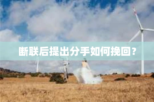 断联后提出分手如何挽回？