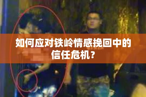 如何应对铁岭情感挽回中的信任危机？
