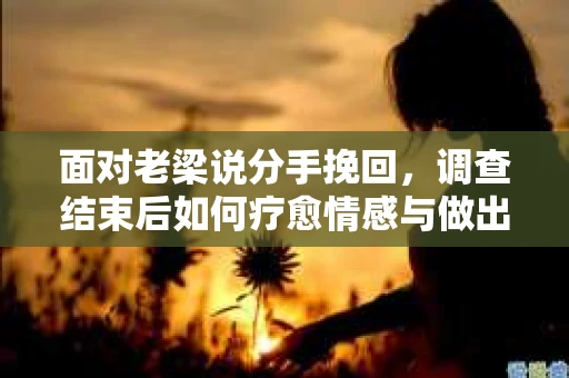 面对老梁说分手挽回，调查结束后如何疗愈情感与做出人生决策？